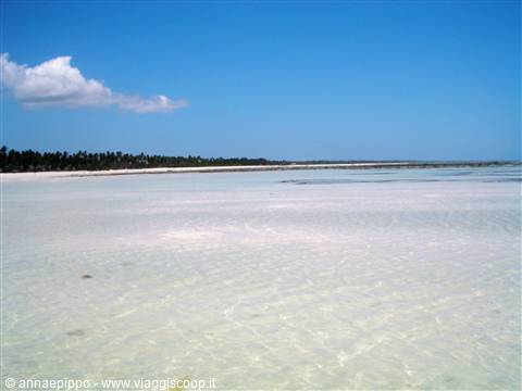 Low tide at Kiwengwa