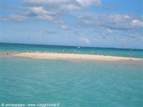 Kwale at low tide