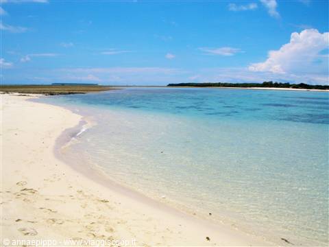 Kwale Island