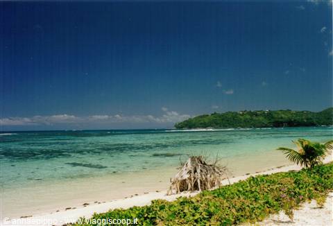 BEACH OF NEW EMERALD COVE