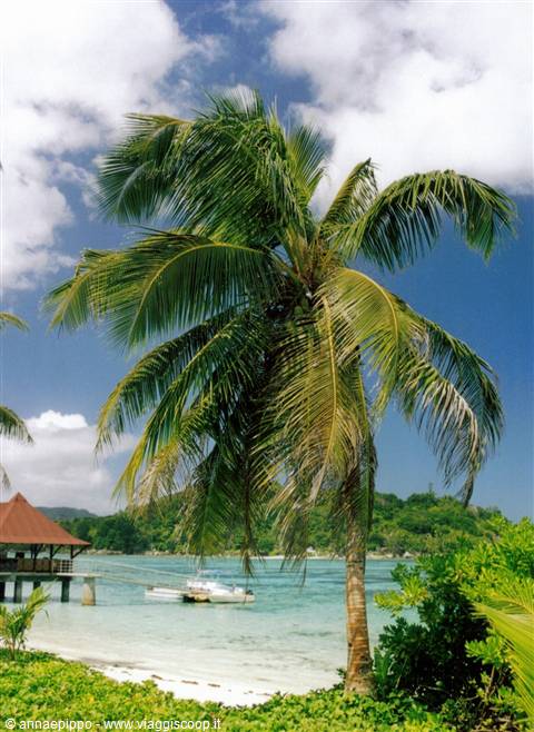 NEW EMERALD COVE BEACH