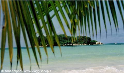 BEACH OF THE PARADISE SUN