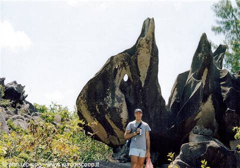 THE FISH ROCK AT CURIEUSE