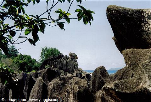 TURTLE ROCK AT CURIEUSE