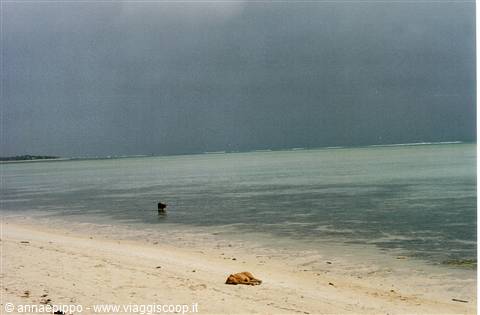 DESERTED BEACH