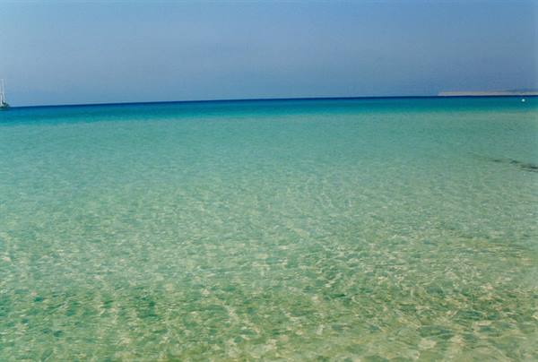 ES ARENALES