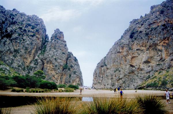 TORRENT PAREIS