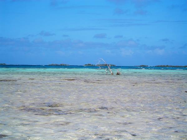 BLUE LAGOON