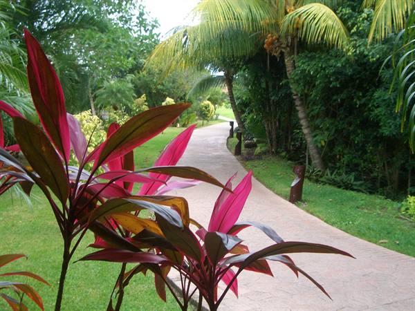 Gardens of the Barceló
