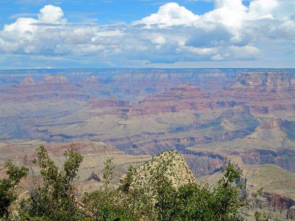 VIEW OF THE GRAND CANYON