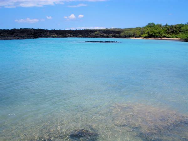 Clear turquoise water over black lava, tropical vegetation along the shore