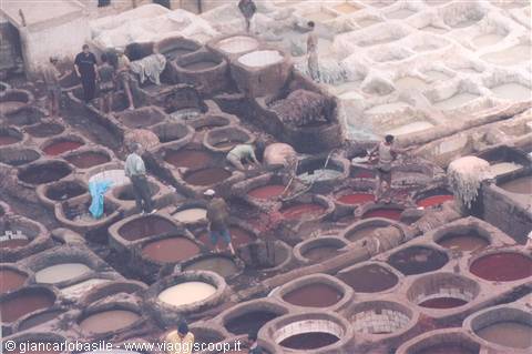 Workers tending dyeing vats at the Fès tanneries