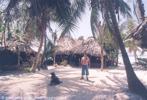 Man in shorts on sand among palm trees and thatched huts, dog nearby