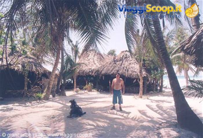 Man in shorts on sand among palm trees and thatched huts, dog nearby