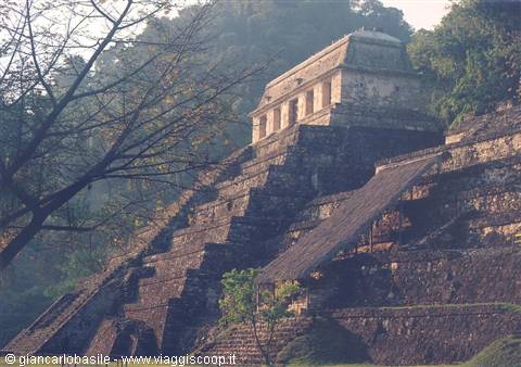 Maya stone temple atop pyramid steps, trees and soft morning light, Palenque