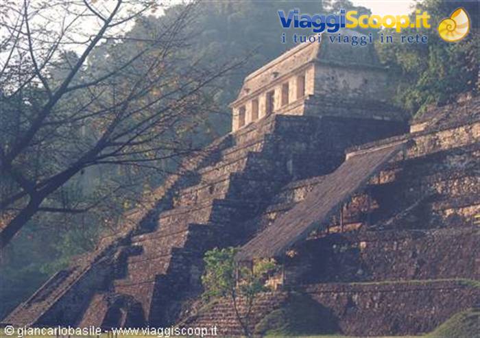 Maya stone temple atop pyramid steps, trees and soft morning light, Palenque