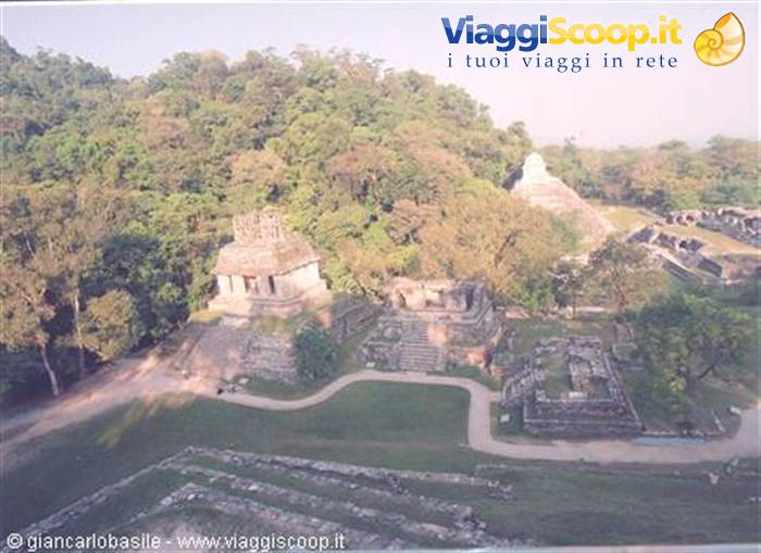 Ancient Mayan ruins of Palenque surrounded by lush jungle