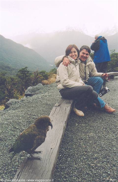 Smiling couple on wooden beam, kea parrot in foreground, misty mountains