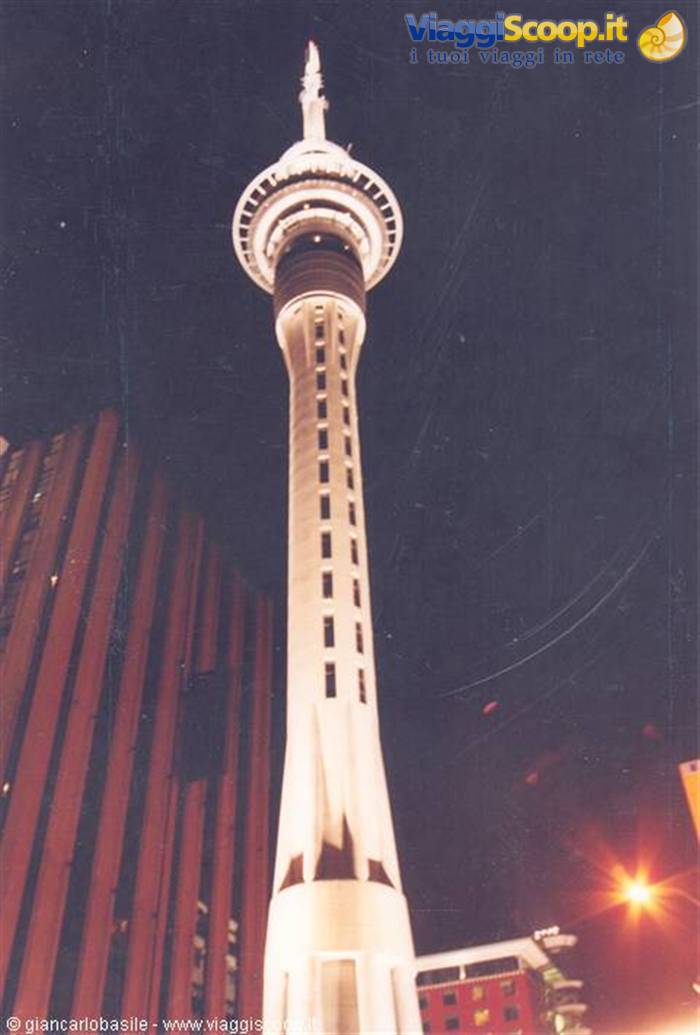 Auckland Sky Tower lit up at night among city skyscrapers