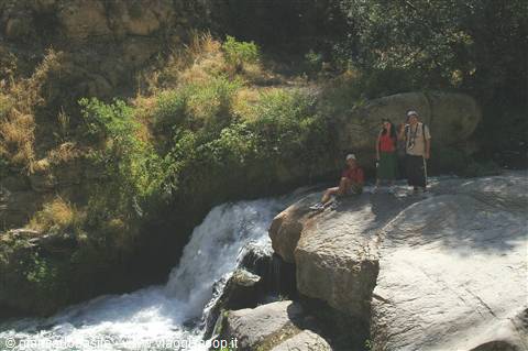 Tourists standing and sitting on a rock beside a waterfall among green bushes