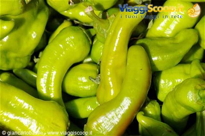 Fresh glossy green peppers piled up at the market