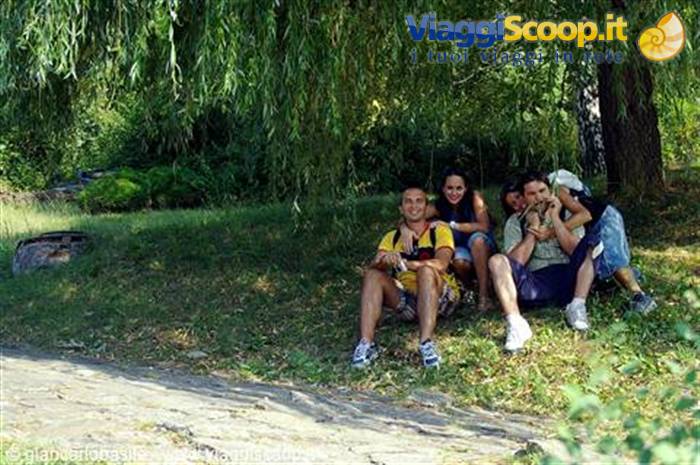 Young group sitting in the shade of a willow in a green park