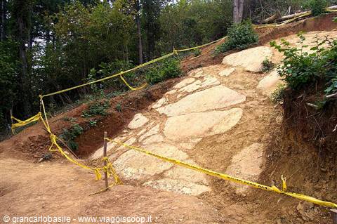 Excavation site with exposed rock bed marked by yellow tape, green woods behind
