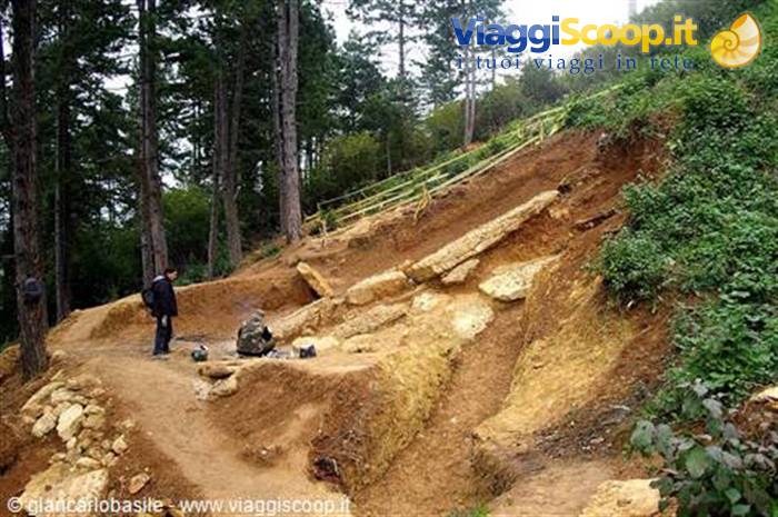 Hiker beside limestone boulders on reddish soil, pine forest along mountain trail