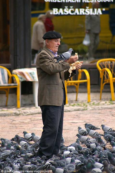 Elderly man in beret feeds pigeons at Baščaršija, yellow restaurant chairs behind