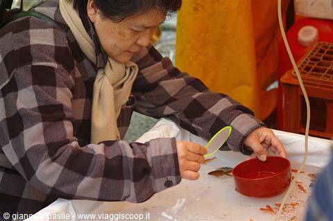 Woman in plaid jacket catching goldfish from a tank at market