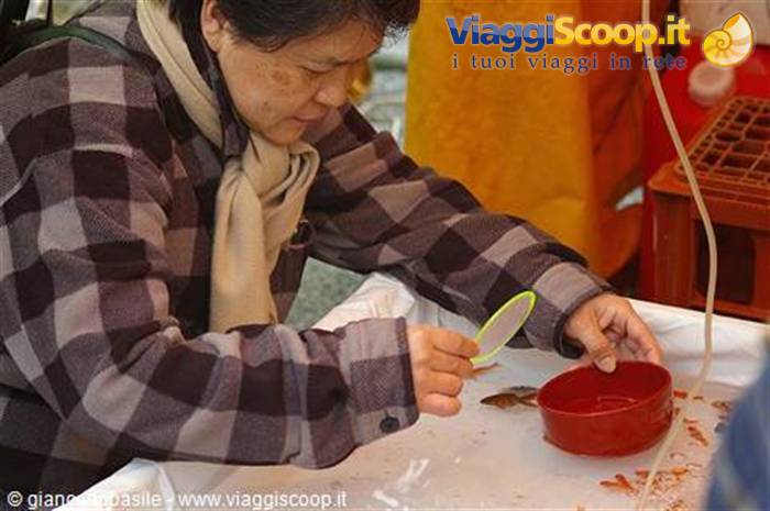 Woman in plaid jacket catching goldfish from a tank at market