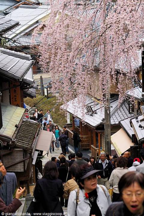 Tourists climbing Ninenzaka slope in Kyoto among wooden houses and blooming cherry tree