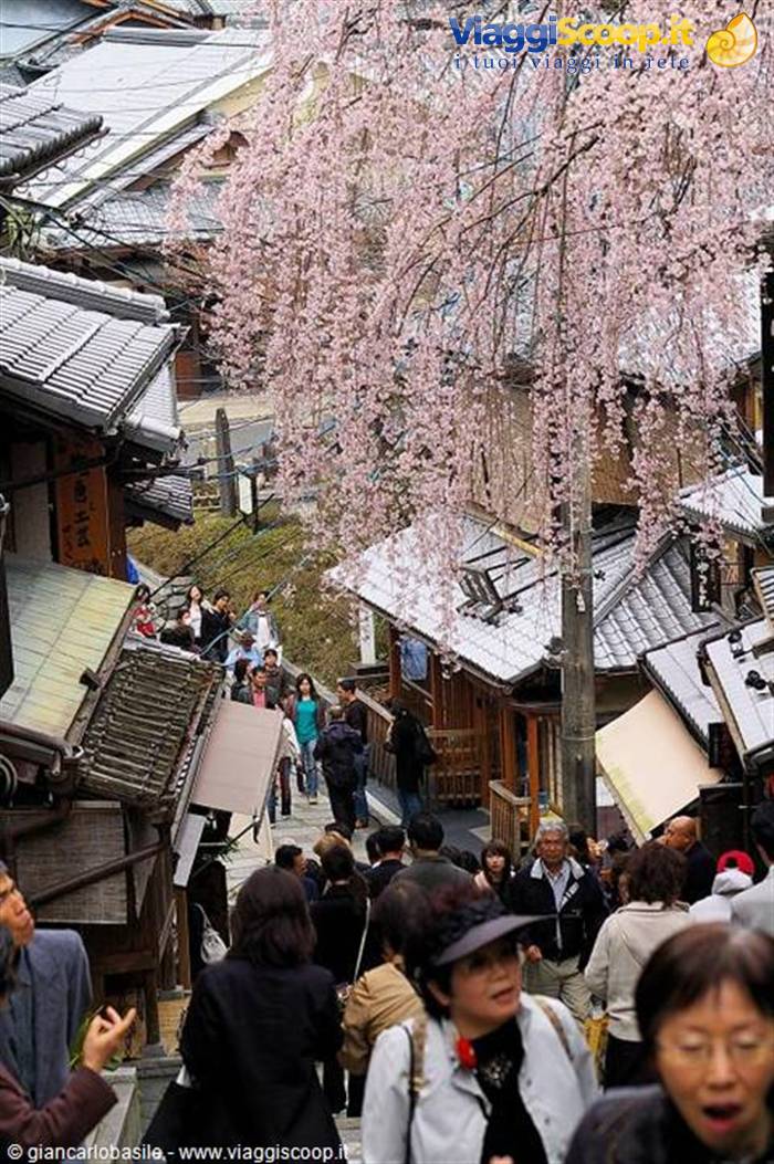 Tourists climbing Ninenzaka slope in Kyoto among wooden houses and blooming cherry tree