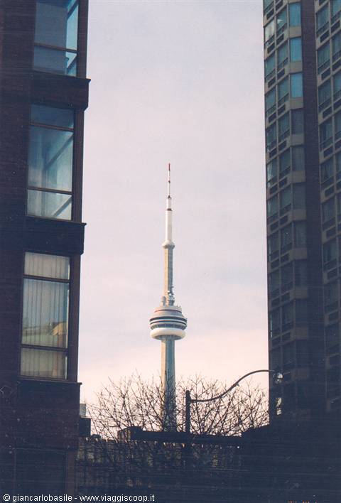 Toronto's CN Tower framed between brick skyscrapers under a grey sky