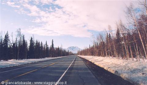 Snow-lined highway between spruces and birches, snowy mountain ahead, Alaska