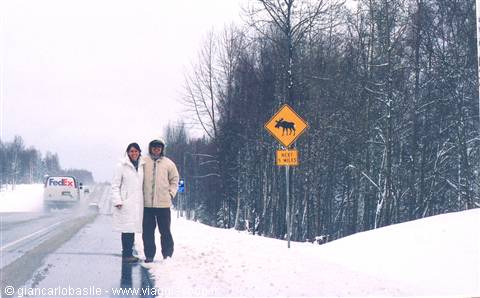 Couple in coats beside yellow moose crossing sign on snowy highway