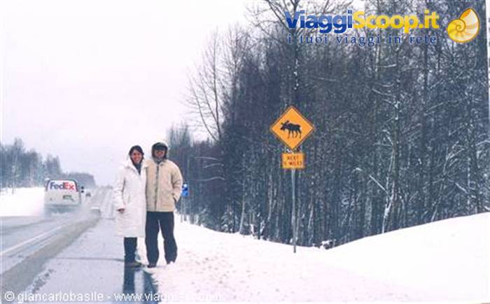 Couple in coats beside yellow moose crossing sign on snowy highway