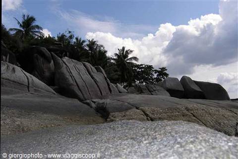 Smooth granite boulders and palm trees under cloudy sky on the beach