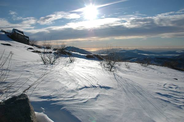 Wind-blown snow on mountain slope, bare shrubs and rocks under low sun