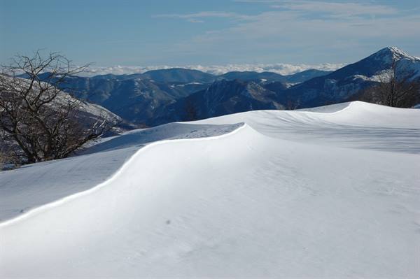 Wind-sculpted snow on sunny mountain, bare trees and snowy ridges