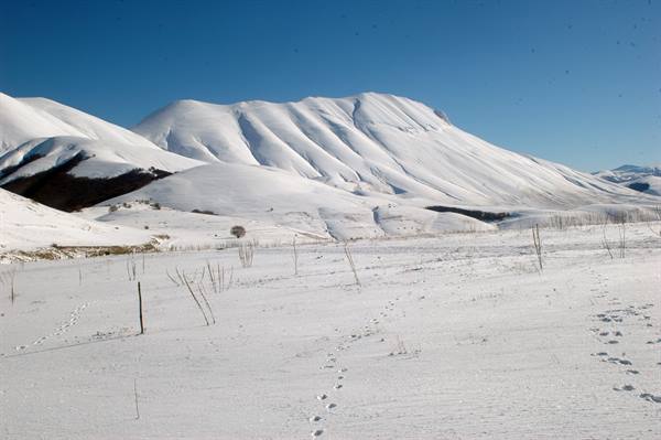 Snow-covered mountains under blue sky, footprints in the snow at Castelluccio