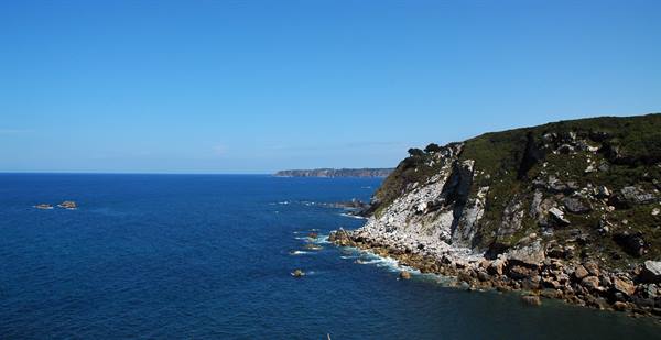 White rocky cliffs with green trees plunge into blue ocean under clear sky