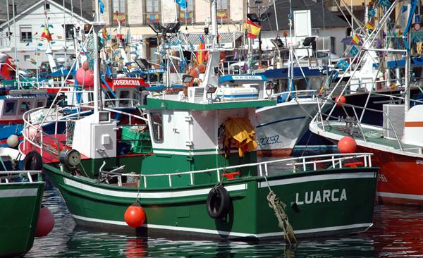 Colorful fishing boats moored at the harbor, green Luarca in the foreground