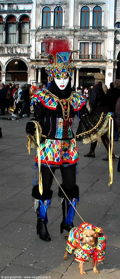 Harlequin costume and white mask with a small dog in St Mark's Square, Venice