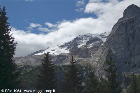 Snow-capped Marmolada between fir trees and clouds under blue sky