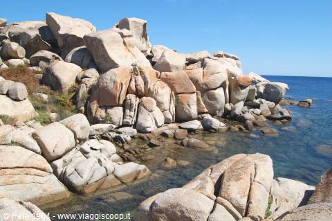 island of Lavezzi