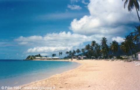 White sand beach lined with palms and bungalows under white clouds