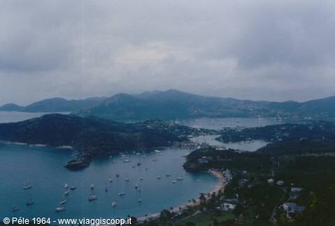 Bay crowded with white sailboats between green hills under cloudy sky, Antigua
