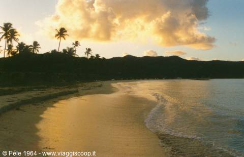 Sandy beach with gentle waves, palm trees and golden clouds at dusk