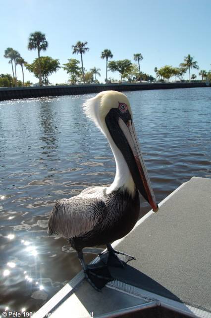 Everglades Park